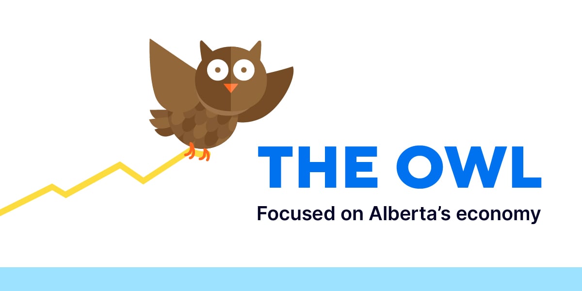 The Owl banner image