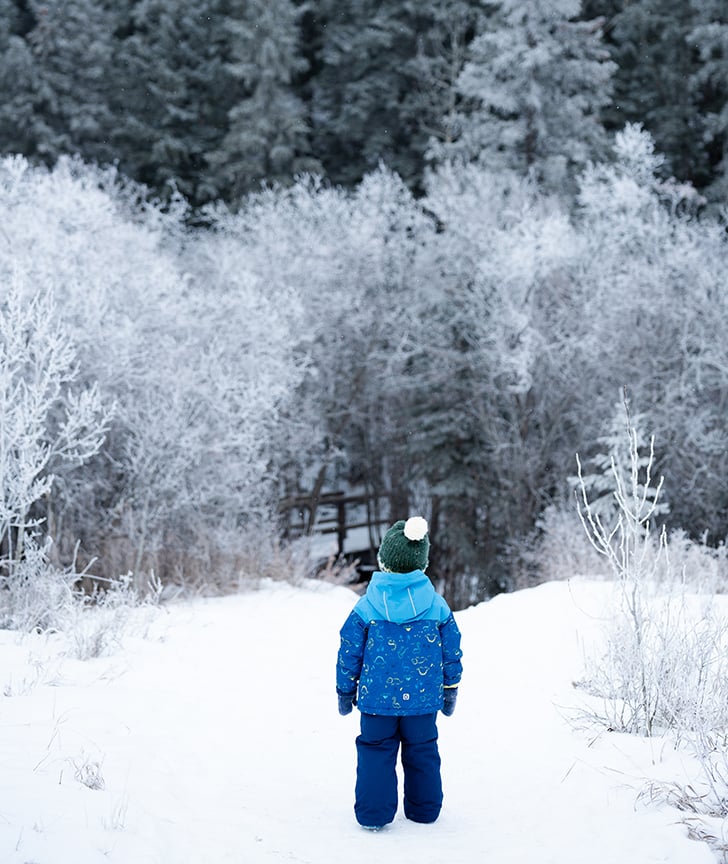 A young boy in a blue snowsuit topped by a green toque and white pompom gazes into a wintry forest.