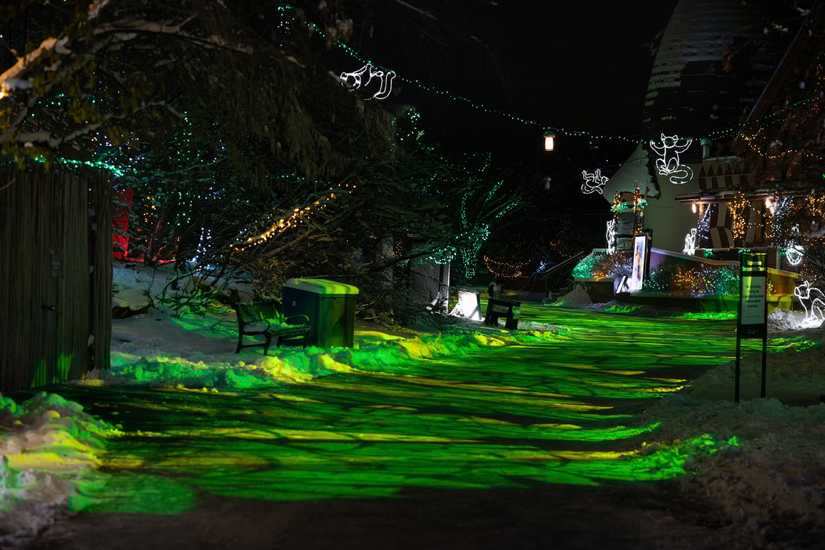 A wintry path at the Calgary Zoo is bathed in green and golden light. Monkeys made of white string lights cross hand-over-tail above the path.