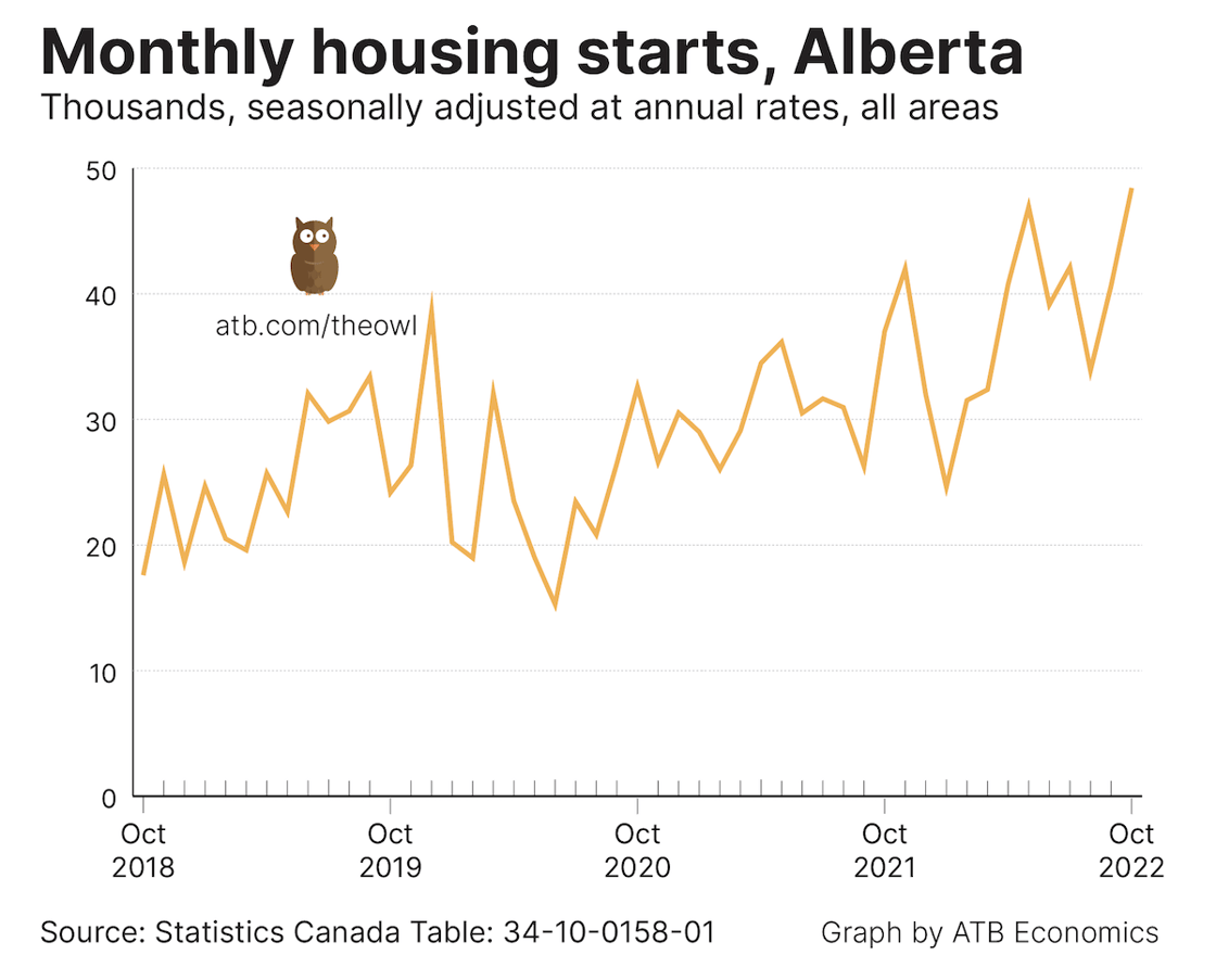 Owl chart Nov 18 2022