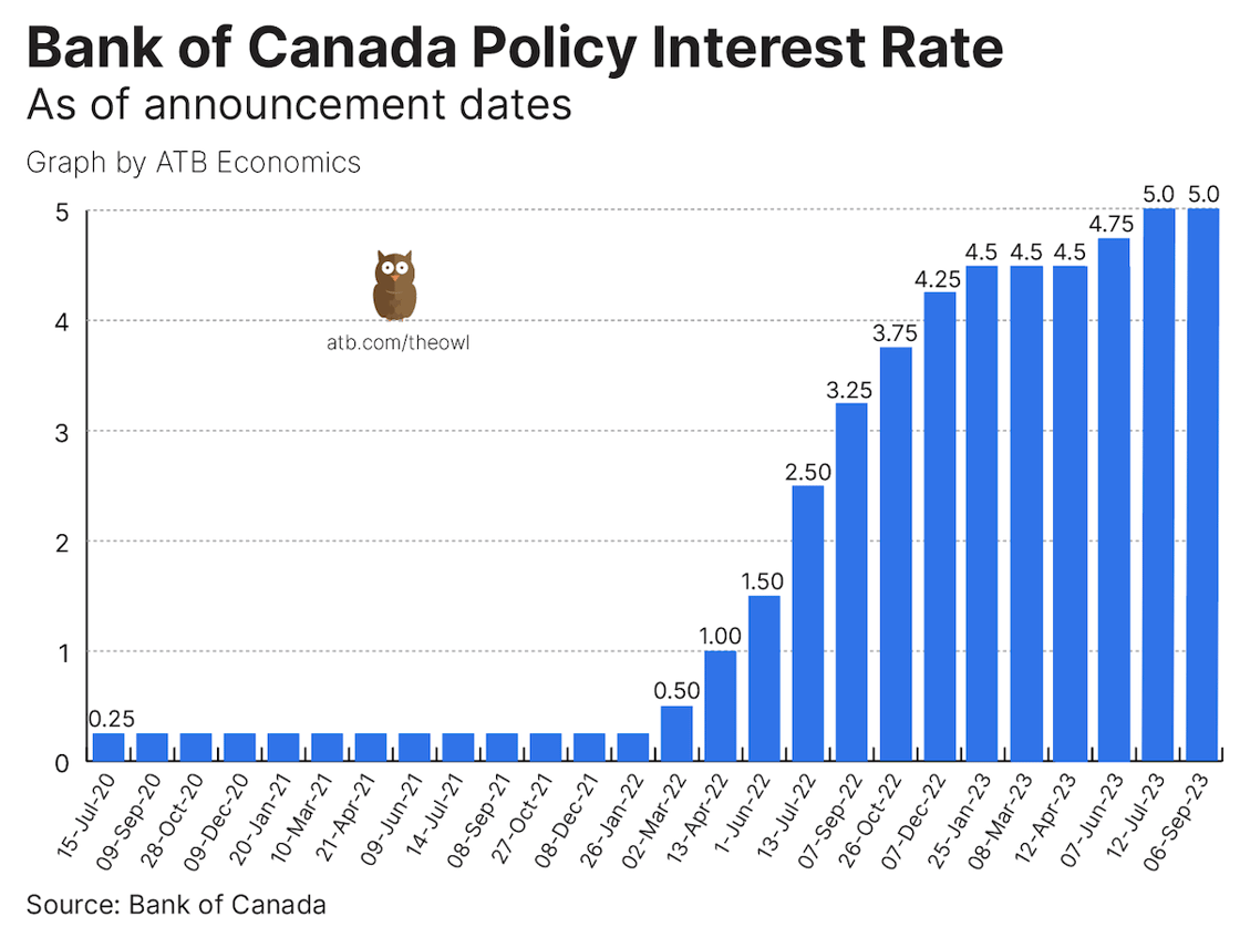 Owl chart September 6 2023
