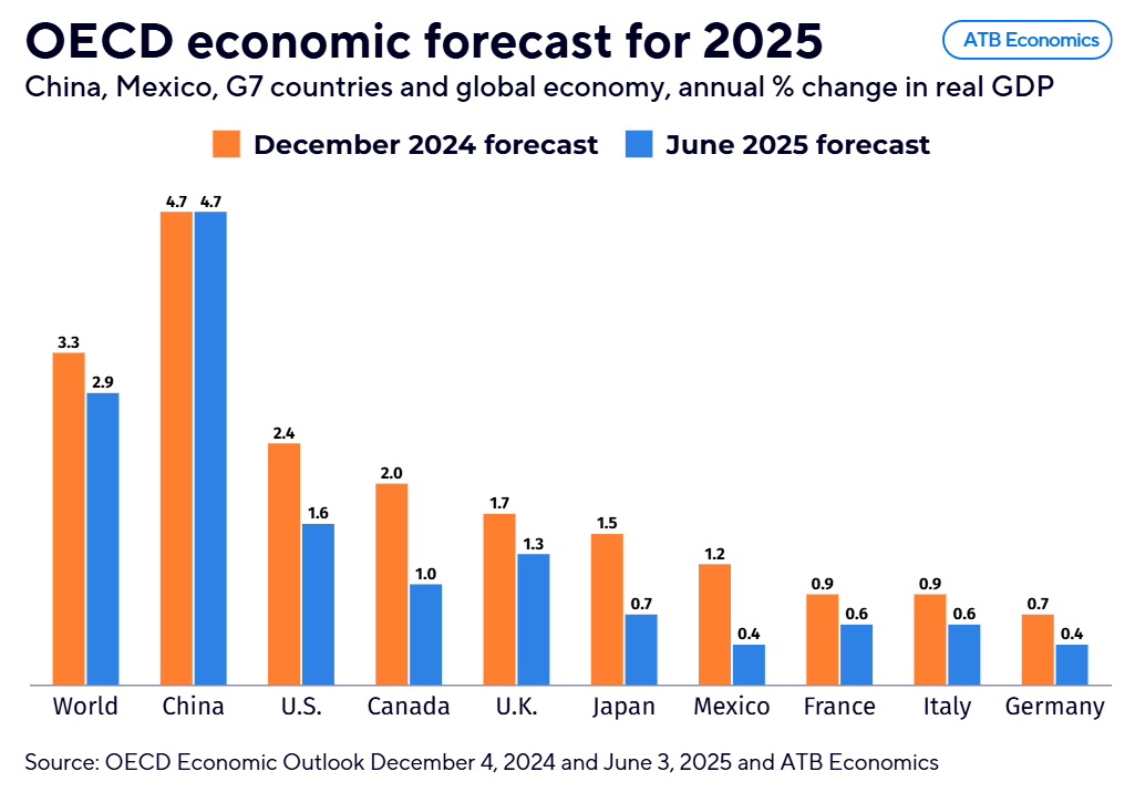 The Seven June 6 2025 OECD